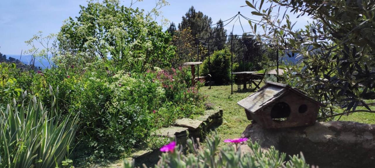 L'Art Des Choix Otel Saint-Pierre-Saint-Jean Dış mekan fotoğraf