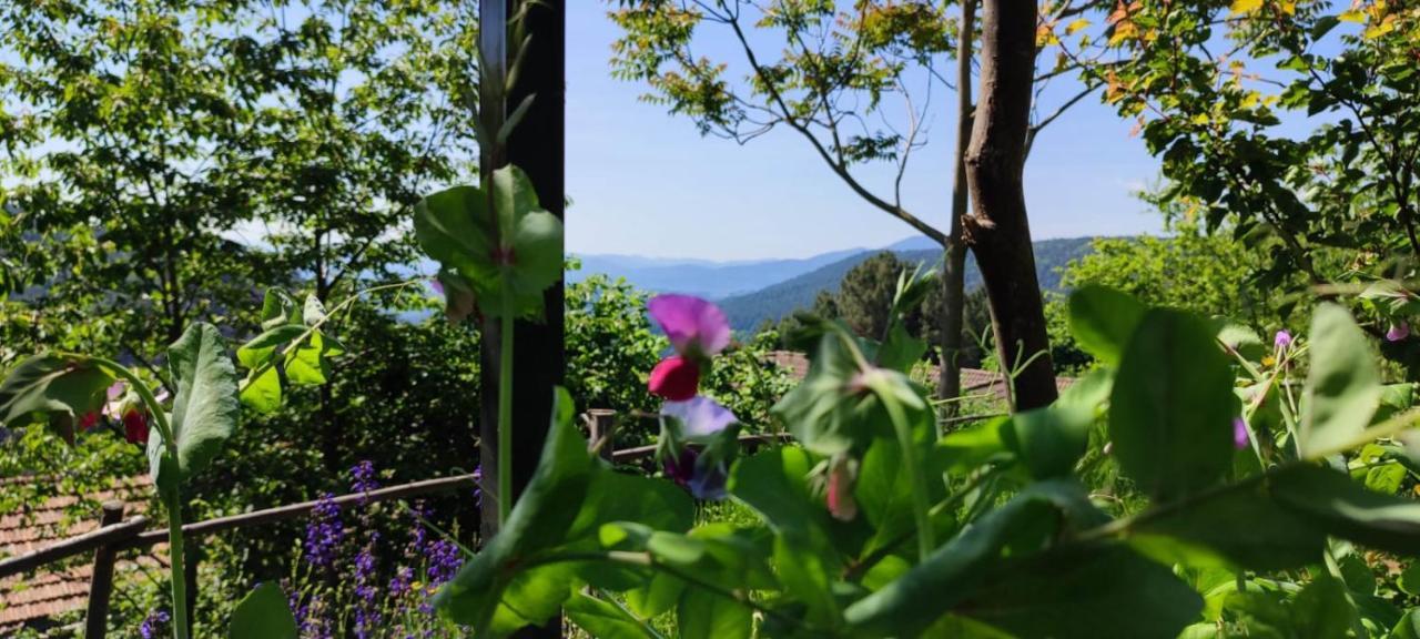 L'Art Des Choix Otel Saint-Pierre-Saint-Jean Dış mekan fotoğraf