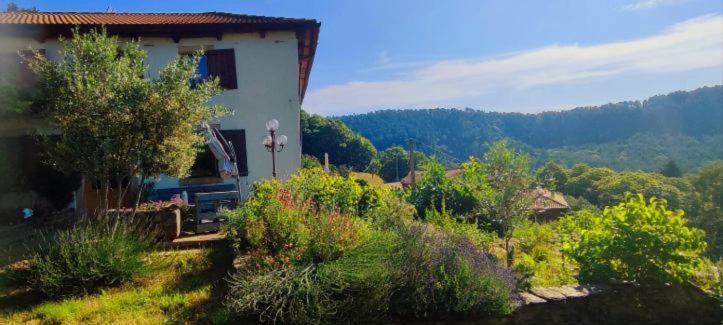 L'Art Des Choix Otel Saint-Pierre-Saint-Jean Dış mekan fotoğraf